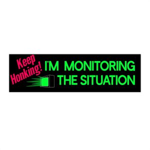 Monitoring the Situation